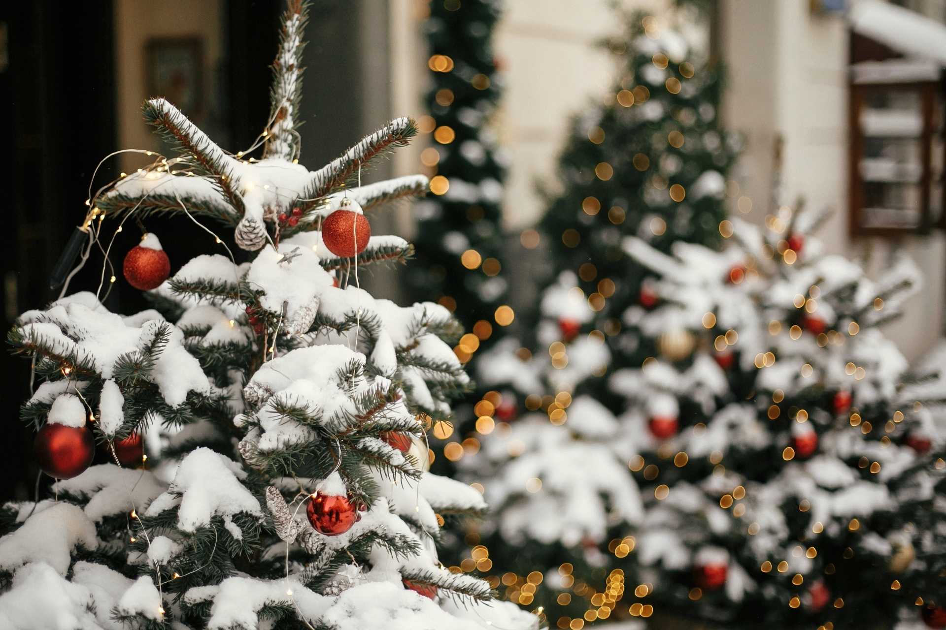 Snow-covered Christmas trees decorated with ornaments.